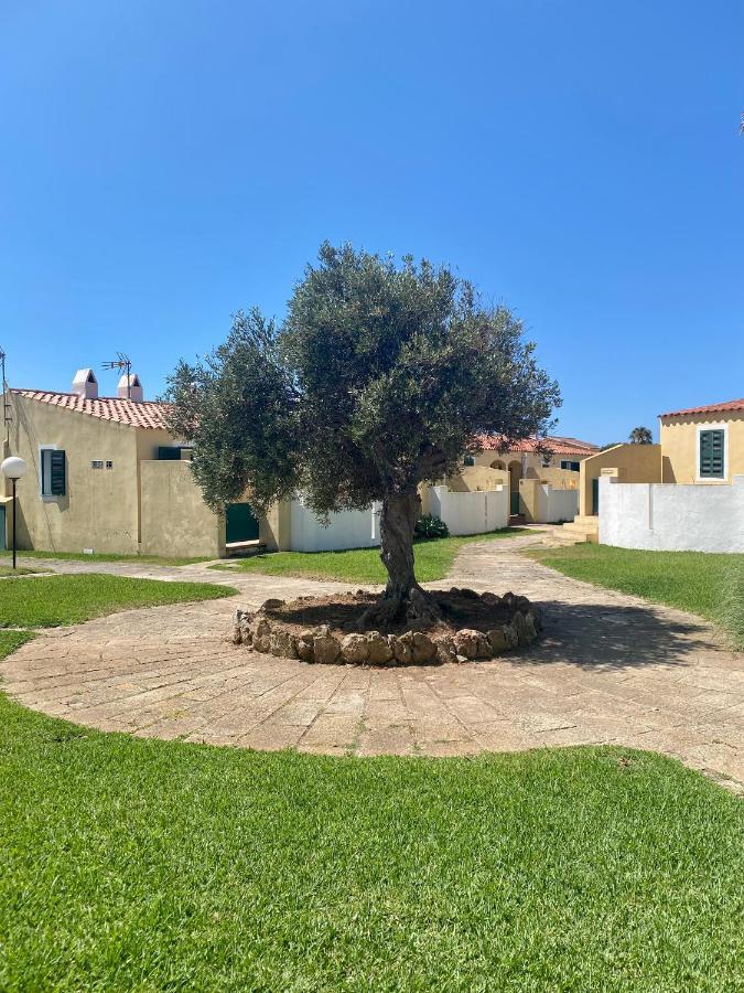 סיוטאדלה Apartamento 7 Palmeras מראה חיצוני תמונה